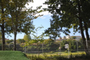 最近の様子☀